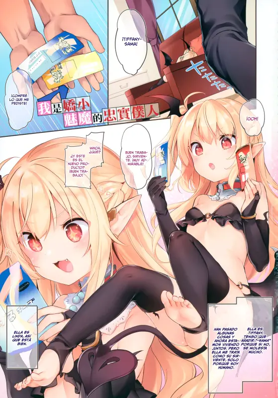 Boku Wa Chiisana Succubus No Shimobe 0